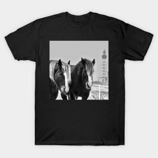 Horses of St Mathieu in the snow T-Shirt